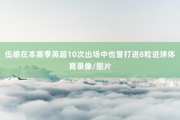 伍德在本赛季英超10次出场中也曾打进8粒进球体育录像/图片