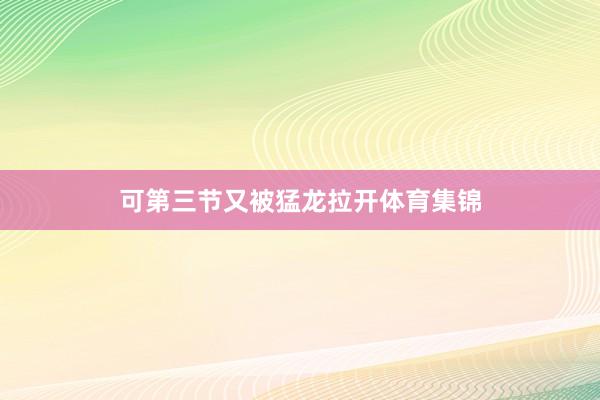 可第三节又被猛龙拉开体育集锦