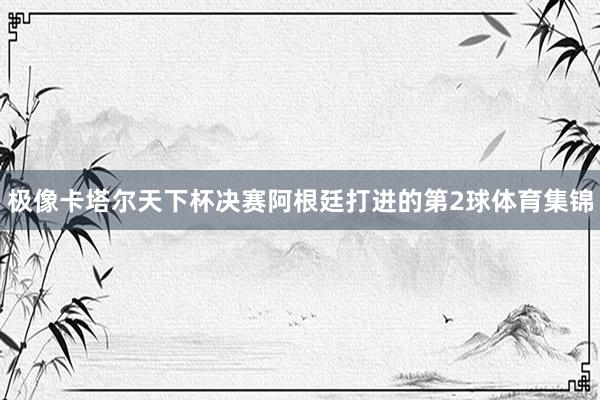 极像卡塔尔天下杯决赛阿根廷打进的第2球体育集锦