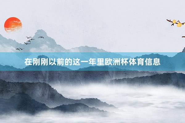 在刚刚以前的这一年里欧洲杯体育信息