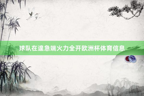 球队在遑急端火力全开欧洲杯体育信息