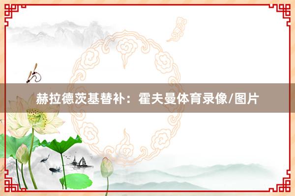 赫拉德茨基替补：霍夫曼体育录像/图片