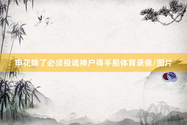 申花除了必须投诚神户得手船体育录像/图片