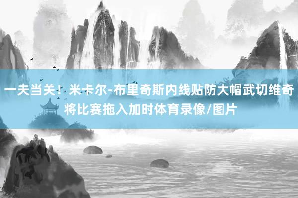 一夫当关！米卡尔-布里奇斯内线贴防大帽武切维奇 将比赛拖入加时体育录像/图片