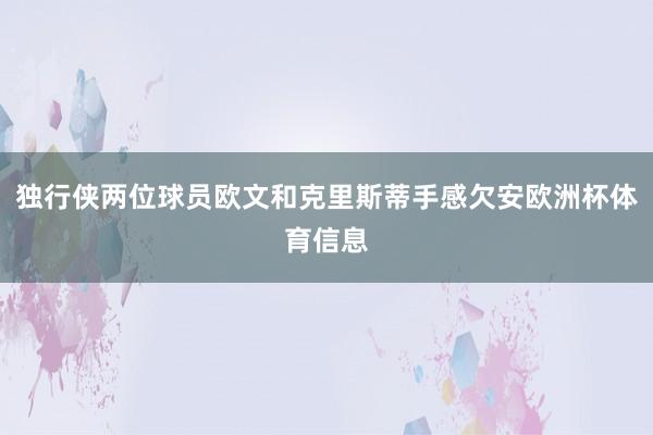 独行侠两位球员欧文和克里斯蒂手感欠安欧洲杯体育信息
