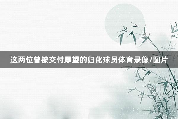 这两位曾被交付厚望的归化球员体育录像/图片