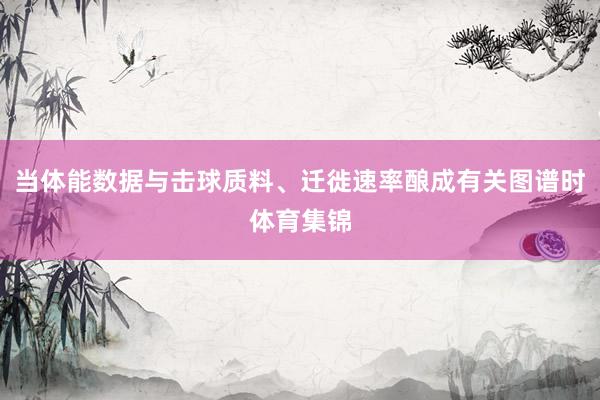 当体能数据与击球质料、迁徙速率酿成有关图谱时体育集锦