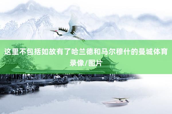 这里不包括如故有了哈兰德和马尔穆什的曼城体育录像/图片