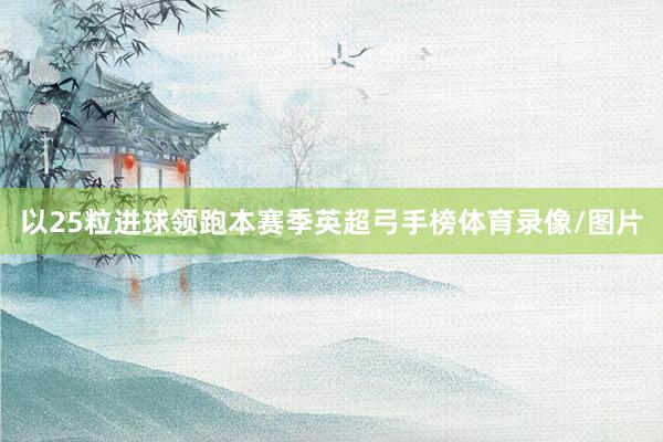 以25粒进球领跑本赛季英超弓手榜体育录像/图片