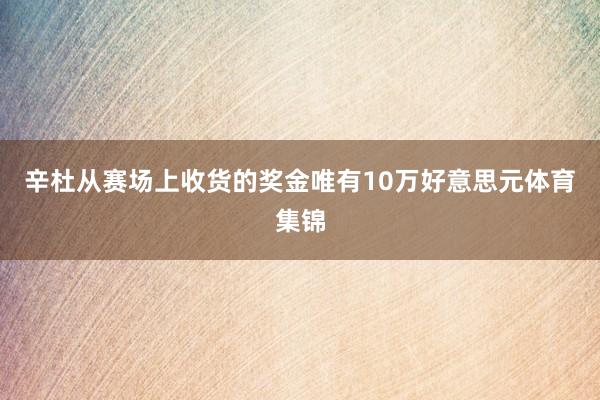 辛杜从赛场上收货的奖金唯有10万好意思元体育集锦