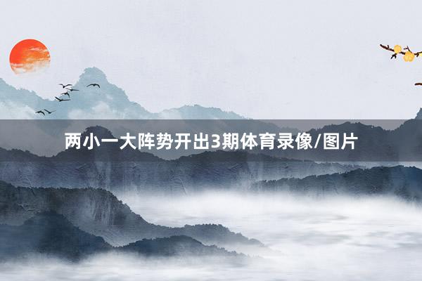 两小一大阵势开出3期体育录像/图片