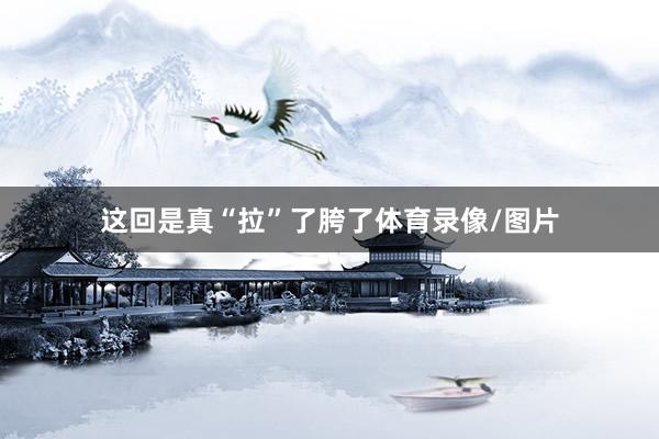 这回是真“拉”了胯了体育录像/图片