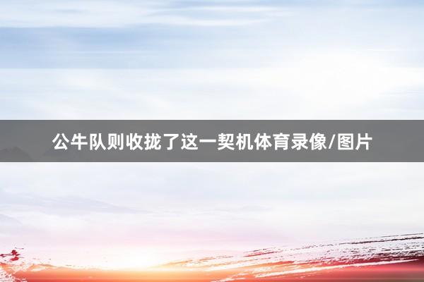 公牛队则收拢了这一契机体育录像/图片