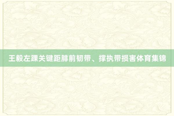王毅左踝关键距腓前韧带、撑执带损害体育集锦