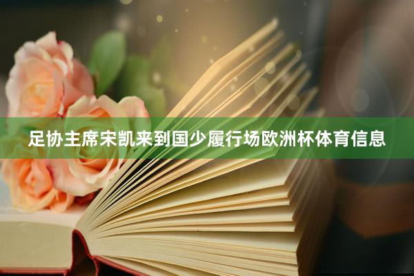 足协主席宋凯来到国少履行场欧洲杯体育信息