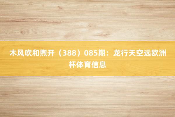 木风吹和煦开（388）　　085期：龙行天空远欧洲杯体育信息
