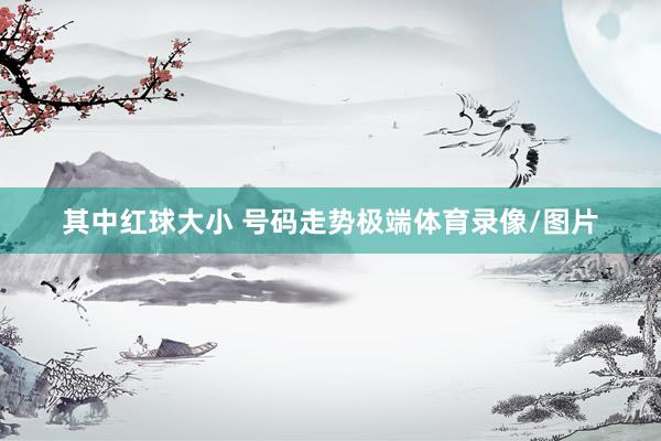 其中红球大小 号码走势极端体育录像/图片