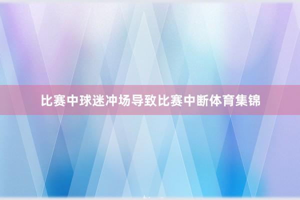比赛中球迷冲场导致比赛中断体育集锦