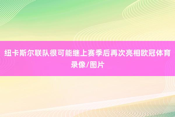 纽卡斯尔联队很可能继上赛季后再次亮相欧冠体育录像/图片