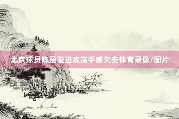 北京球员陈盈骏进攻端手感欠安体育录像/图片