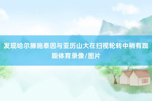 发现哈尔滕施泰因与亚历山大在扫视轮转中稍有踟蹰体育录像/图片
