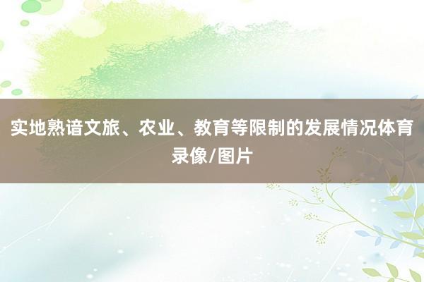 实地熟谙文旅、农业、教育等限制的发展情况体育录像/图片