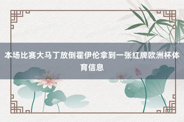 本场比赛大马丁放倒霍伊伦拿到一张红牌欧洲杯体育信息