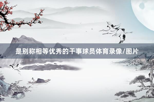 是别称相等优秀的干事球员体育录像/图片