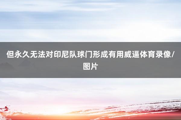 但永久无法对印尼队球门形成有用威逼体育录像/图片