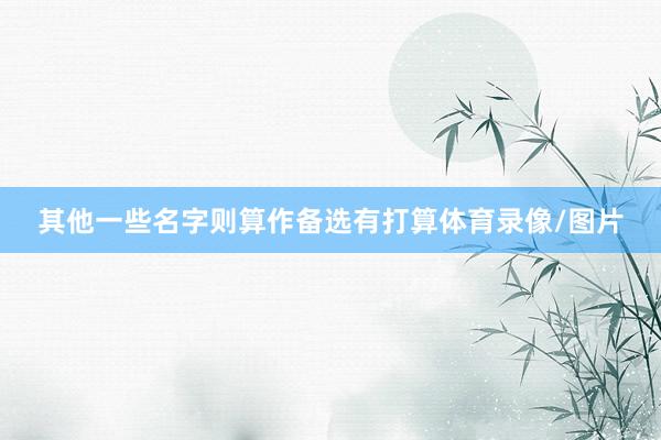 其他一些名字则算作备选有打算体育录像/图片