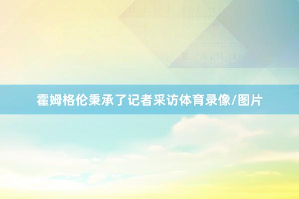 霍姆格伦秉承了记者采访体育录像/图片