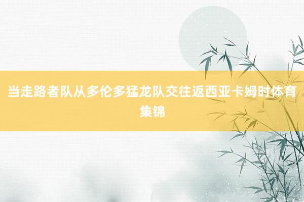 当走路者队从多伦多猛龙队交往返西亚卡姆时体育集锦