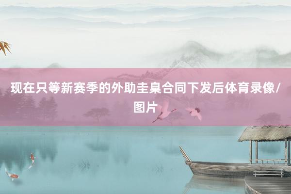 现在只等新赛季的外助圭臬合同下发后体育录像/图片