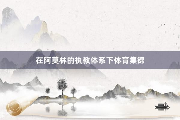 在阿莫林的执教体系下体育集锦
