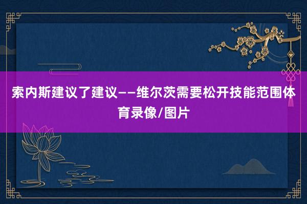 索内斯建议了建议——维尔茨需要松开技能范围体育录像/图片