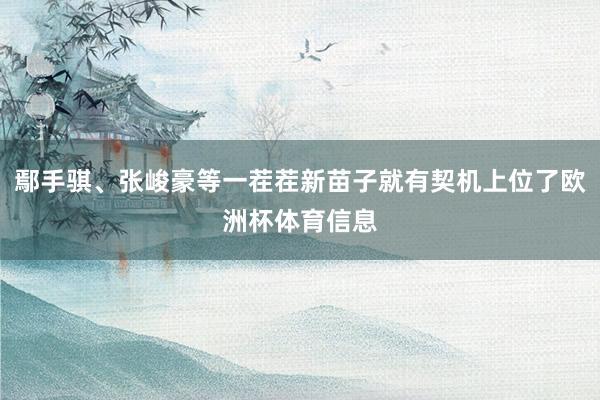 鄢手骐、张峻豪等一茬茬新苗子就有契机上位了欧洲杯体育信息
