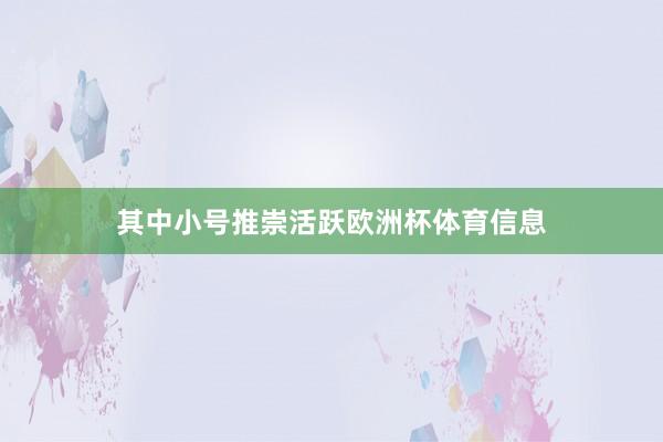 其中小号推崇活跃欧洲杯体育信息