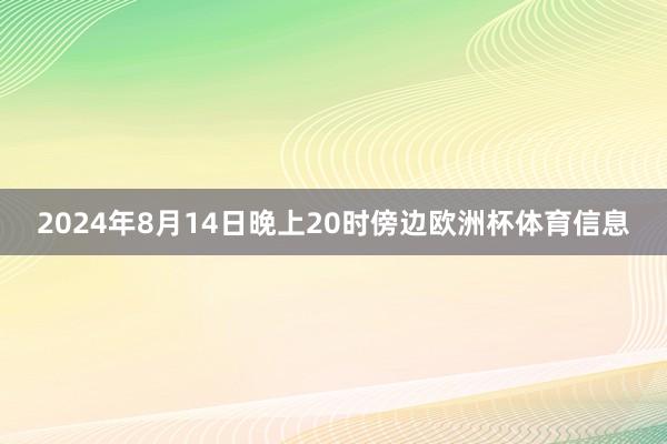 2024年8月14日晚上20时傍边欧洲杯体育信息