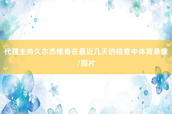 代理主帅久尔杰维奇在最近几天的稽查中体育录像/图片