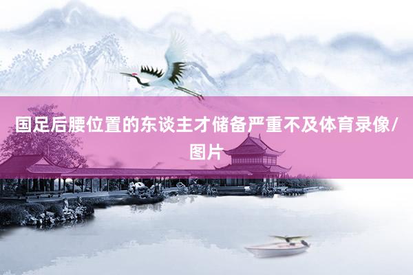 国足后腰位置的东谈主才储备严重不及体育录像/图片