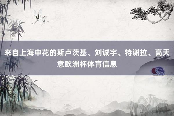 来自上海申花的斯卢茨基、刘诚宇、特谢拉、高天意欧洲杯体育信息