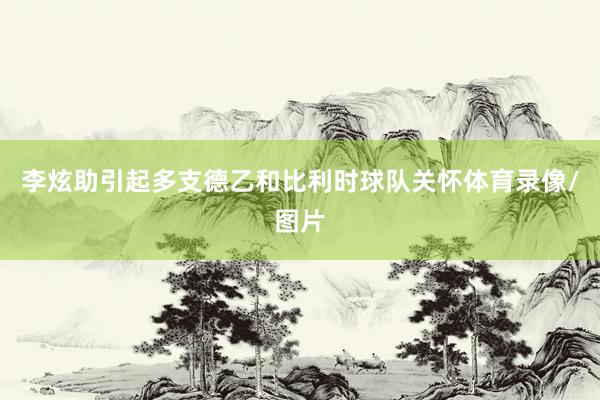 李炫助引起多支德乙和比利时球队关怀体育录像/图片