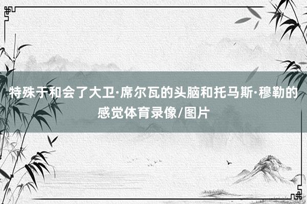 特殊于和会了大卫·席尔瓦的头脑和托马斯·穆勒的感觉体育录像/图片