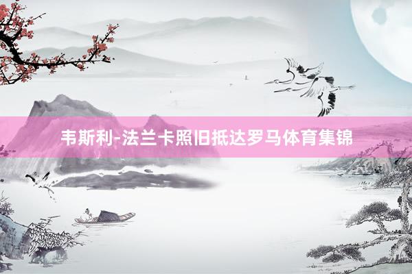 韦斯利-法兰卡照旧抵达罗马体育集锦